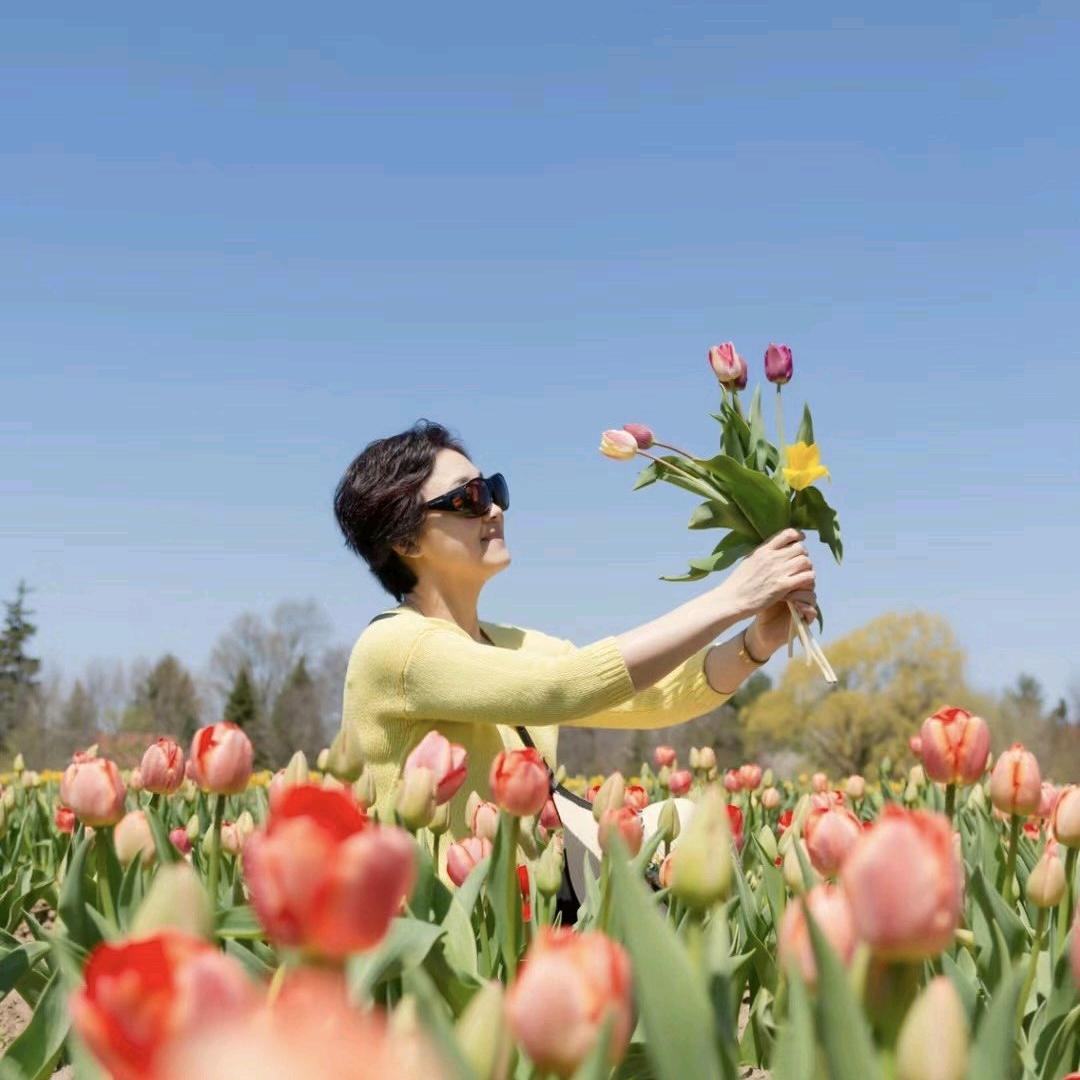 真真花卉批发