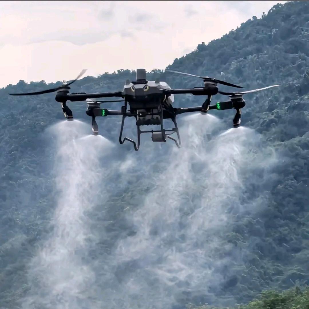 🈳🈳🈳🈳🈳🈳