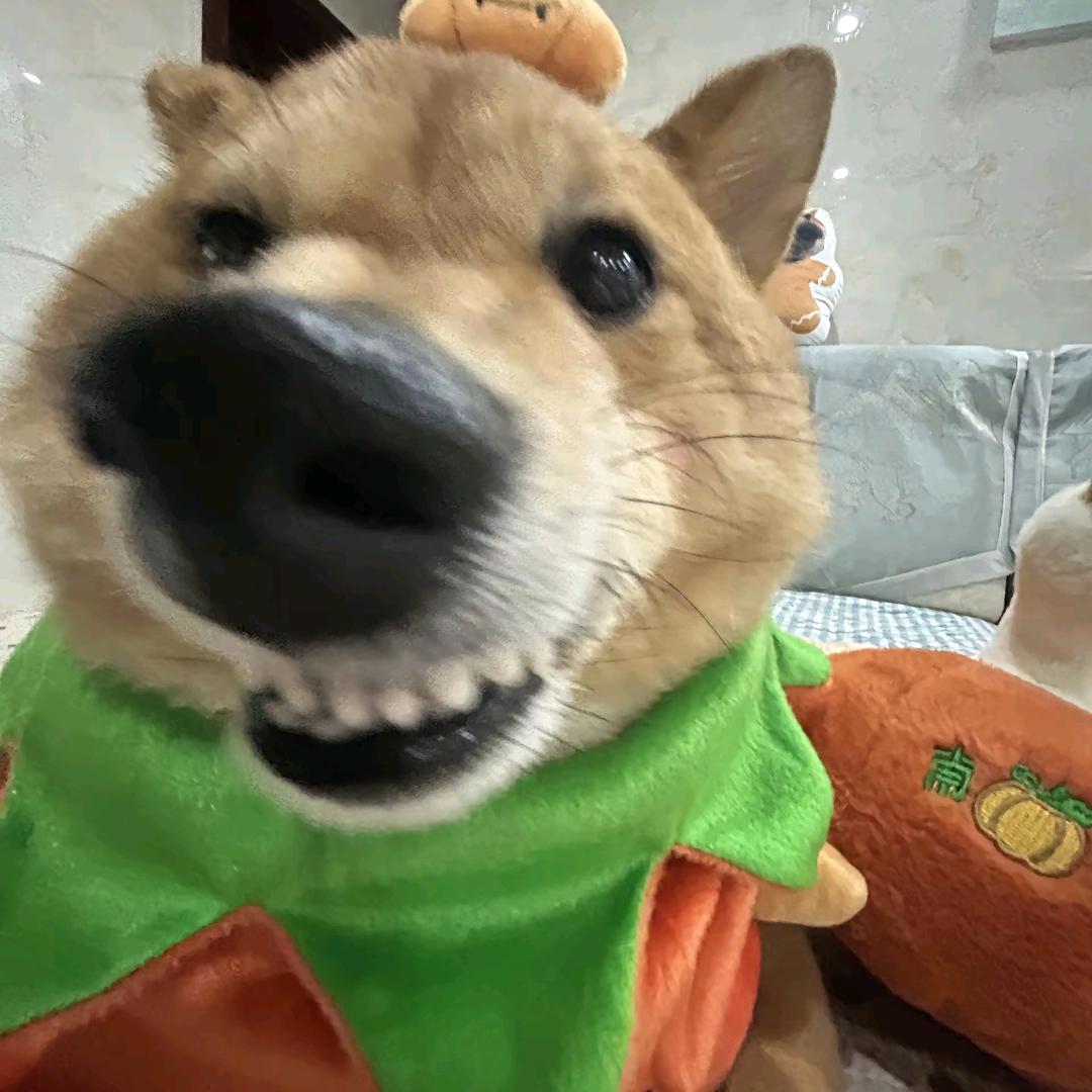 向