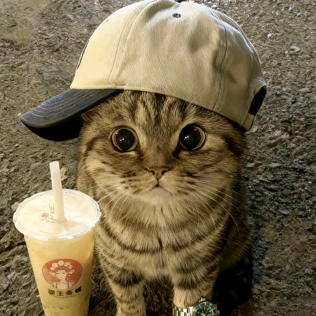 随૮₍ɵ̷﹏ɵ̷̥̥᷅₎ა风