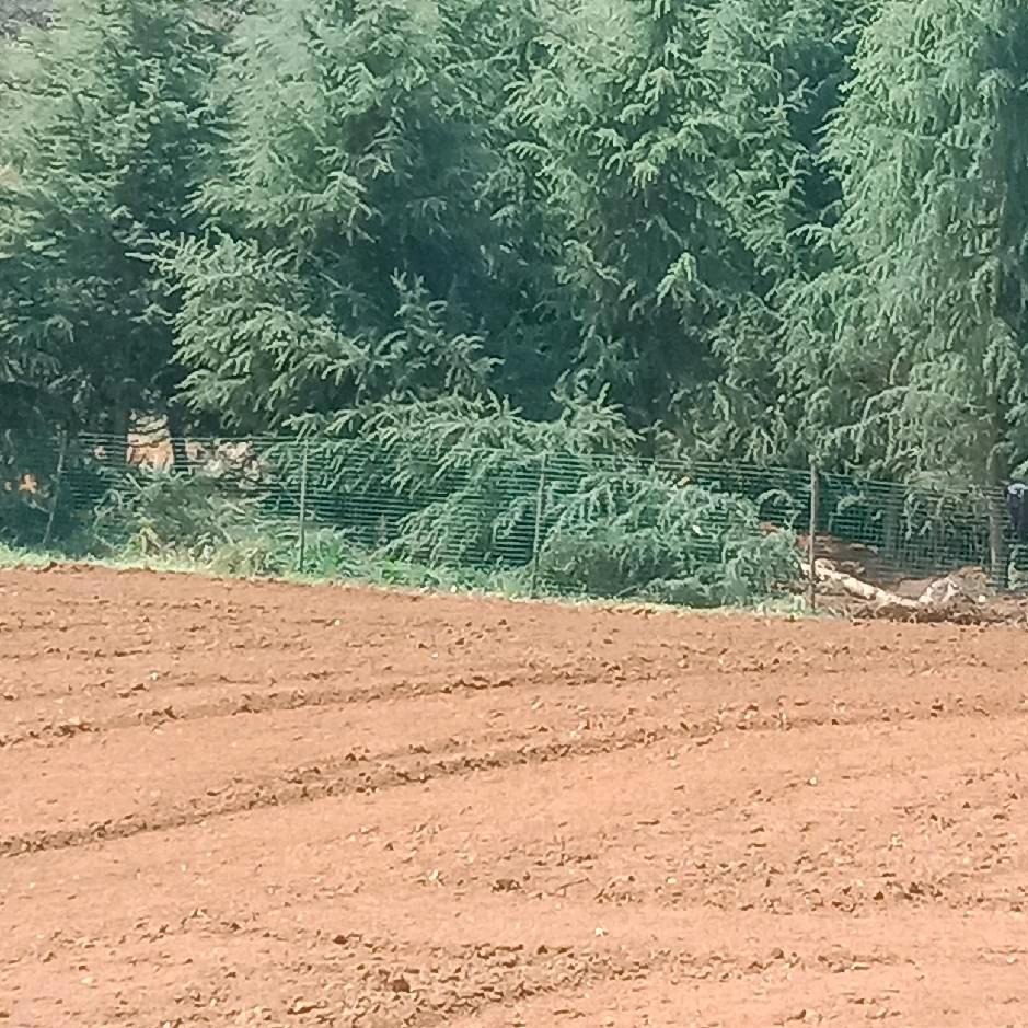 幸福人生，兵哥哥