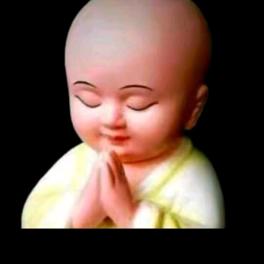 ｛点点｝