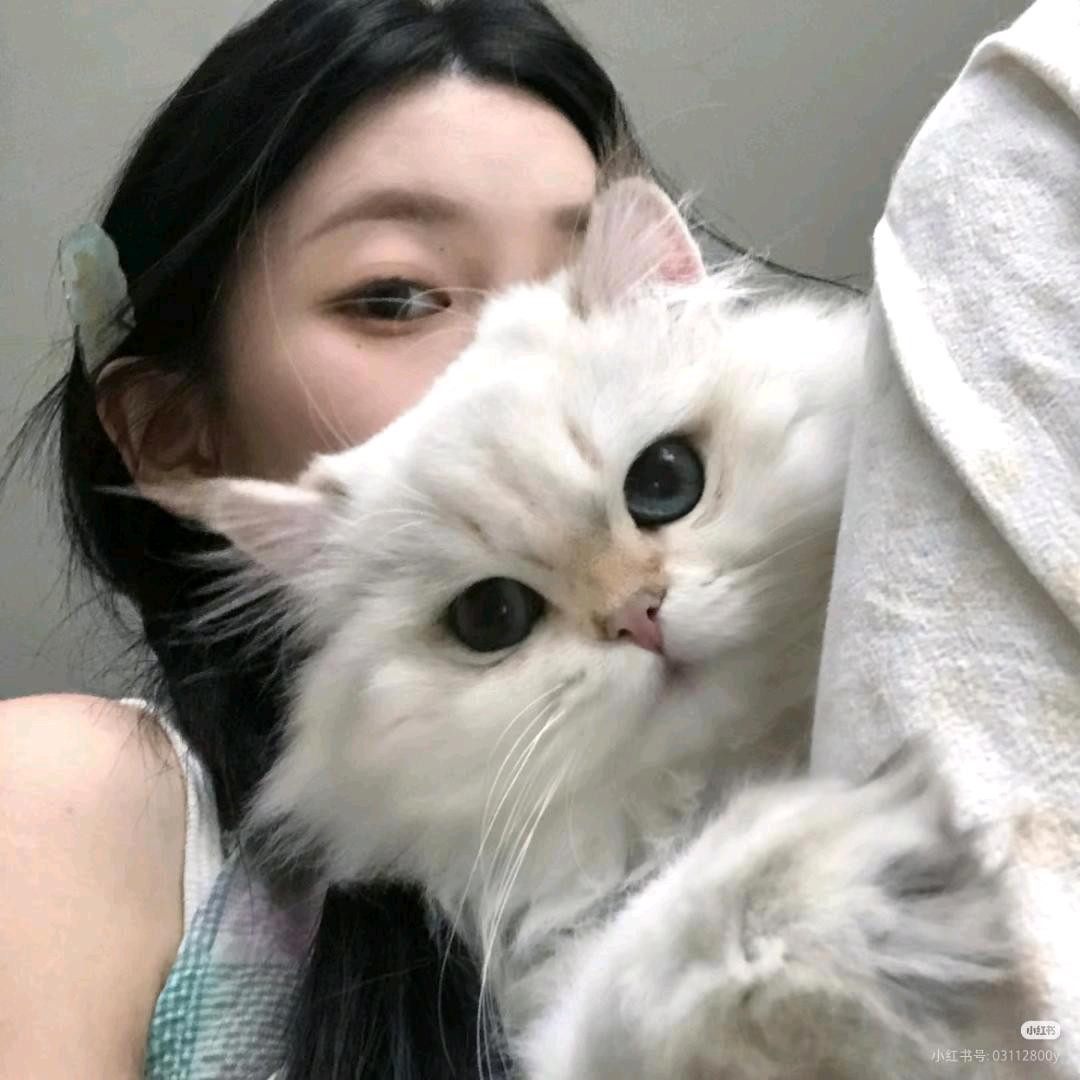 小嵩很困🌱（忙碌版）