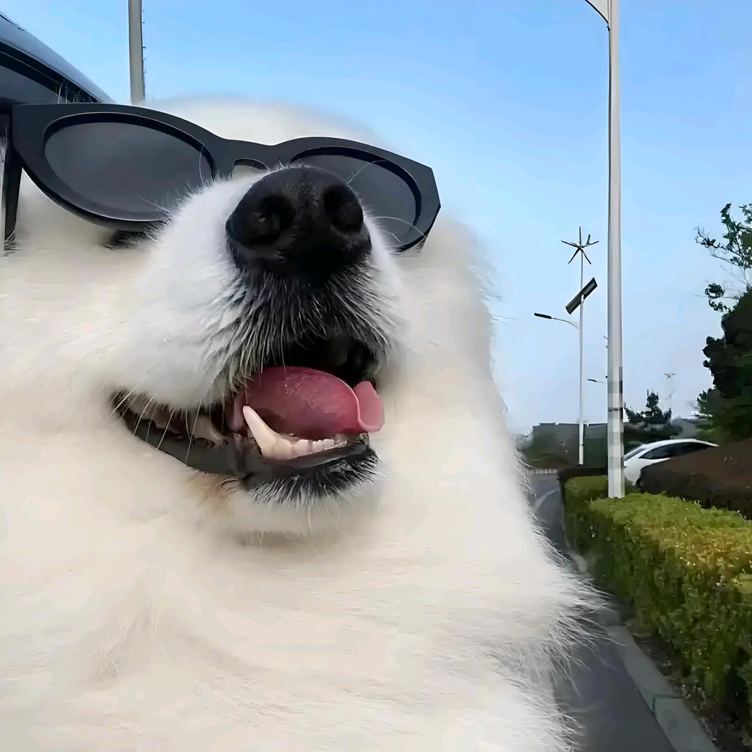 小酸奶（互关必回）