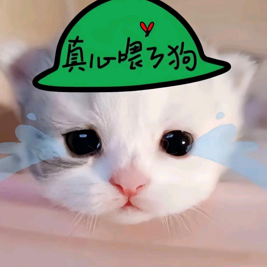 萌萌懂懂