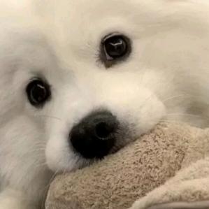 早点睡⛄️