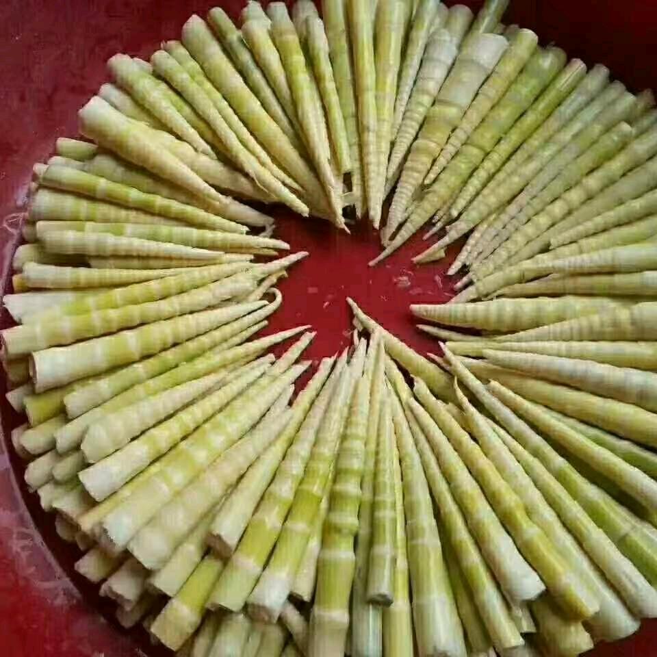 崇仁县全龙食品厂