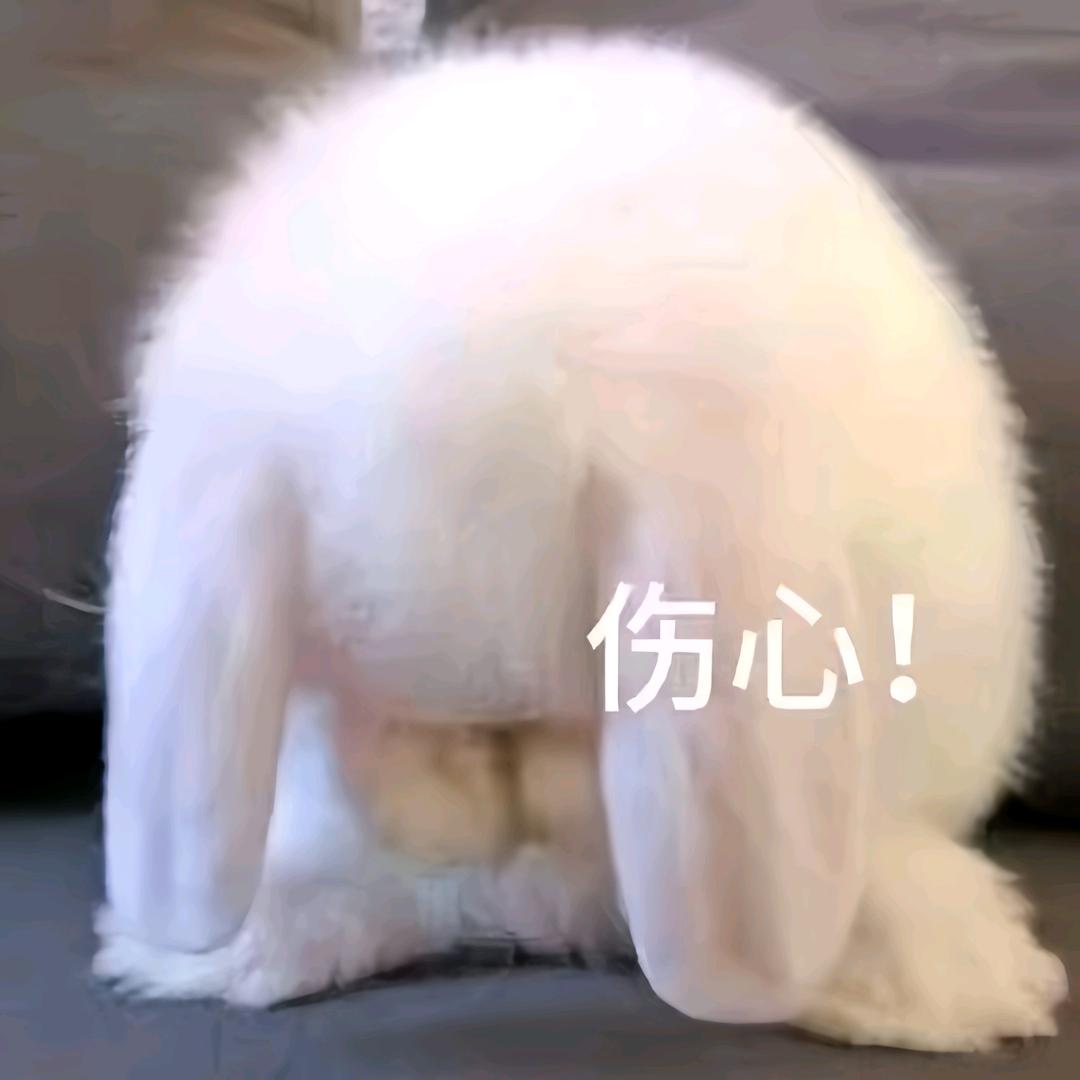 烦呀