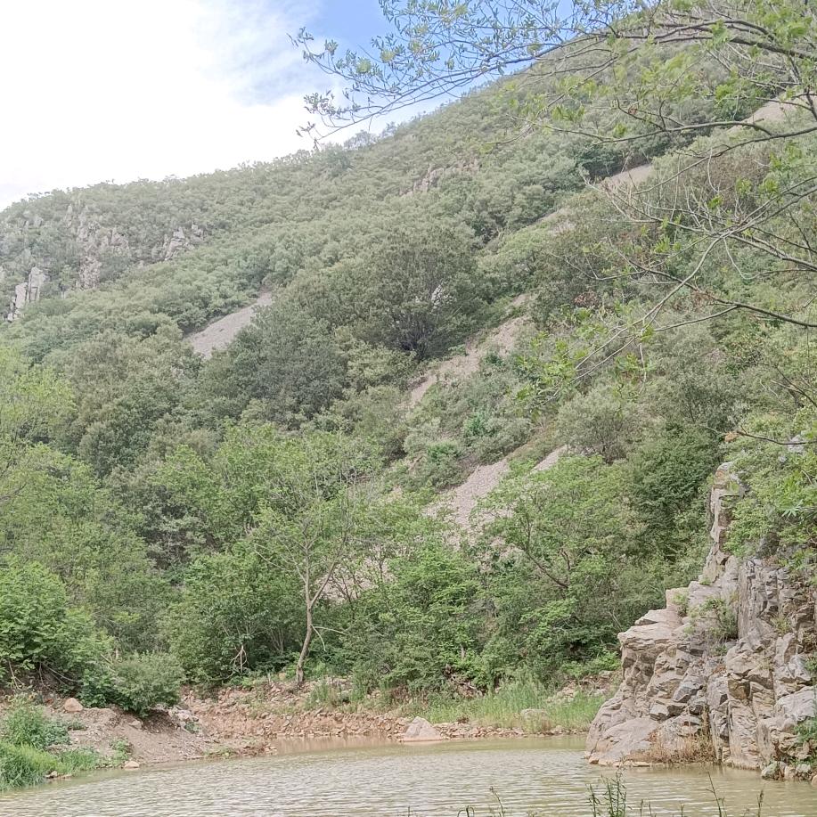 ❤️❤️快乐❤️敏❤️追阳❤️❤️