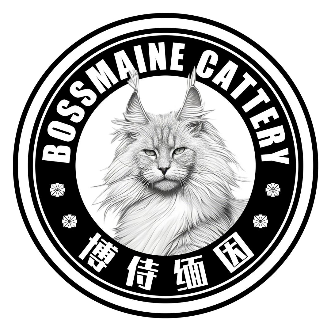 BossMaine｜博侍缅因·直播号