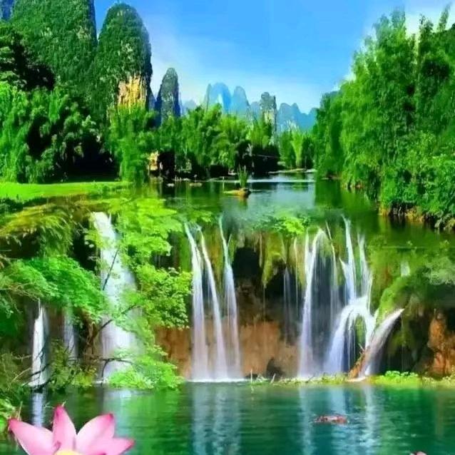 开🌿心🌴快🌴乐