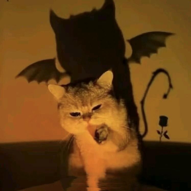 情书叠成千纸鹤