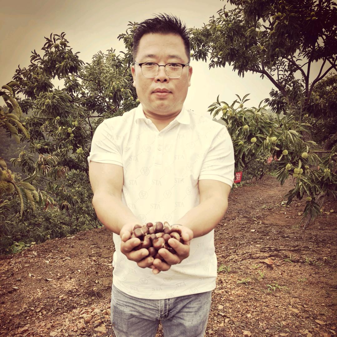 三胖创业记·炒货零食