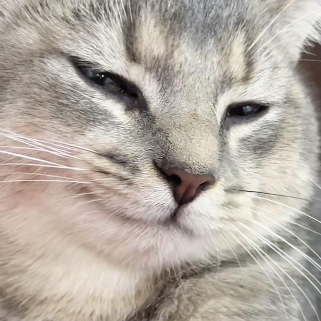 胡孟林