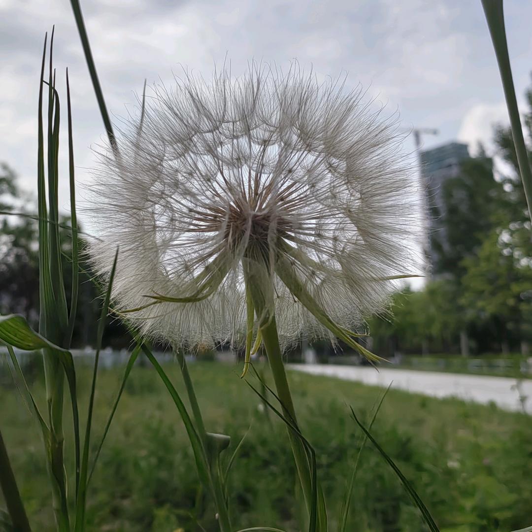 缘起缘灭皆是命