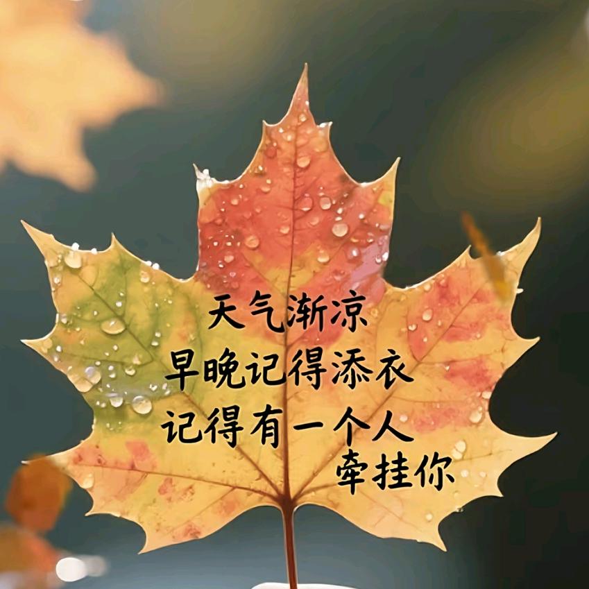 ℒᎭℯ⃝承诺᭨ᮩ໊࿐