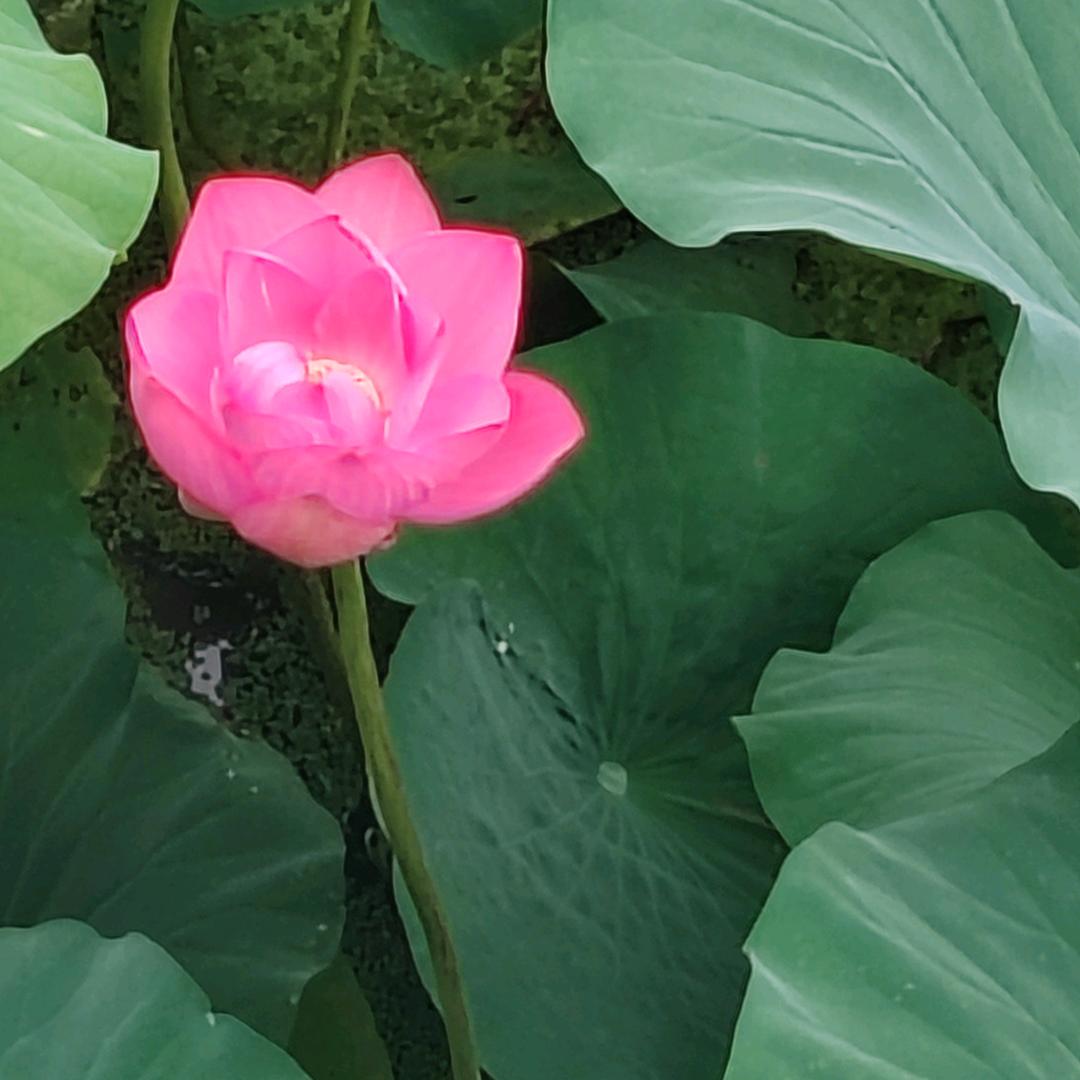 开心快乐每一天