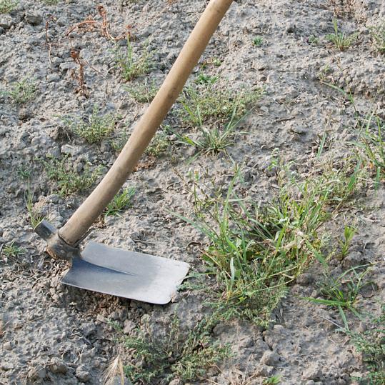 放下锄头来点赞