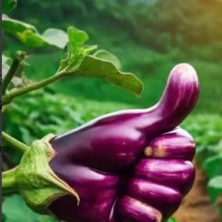 এ᭄ꦿ莫辉好心秦꧔ꦿএ᭄