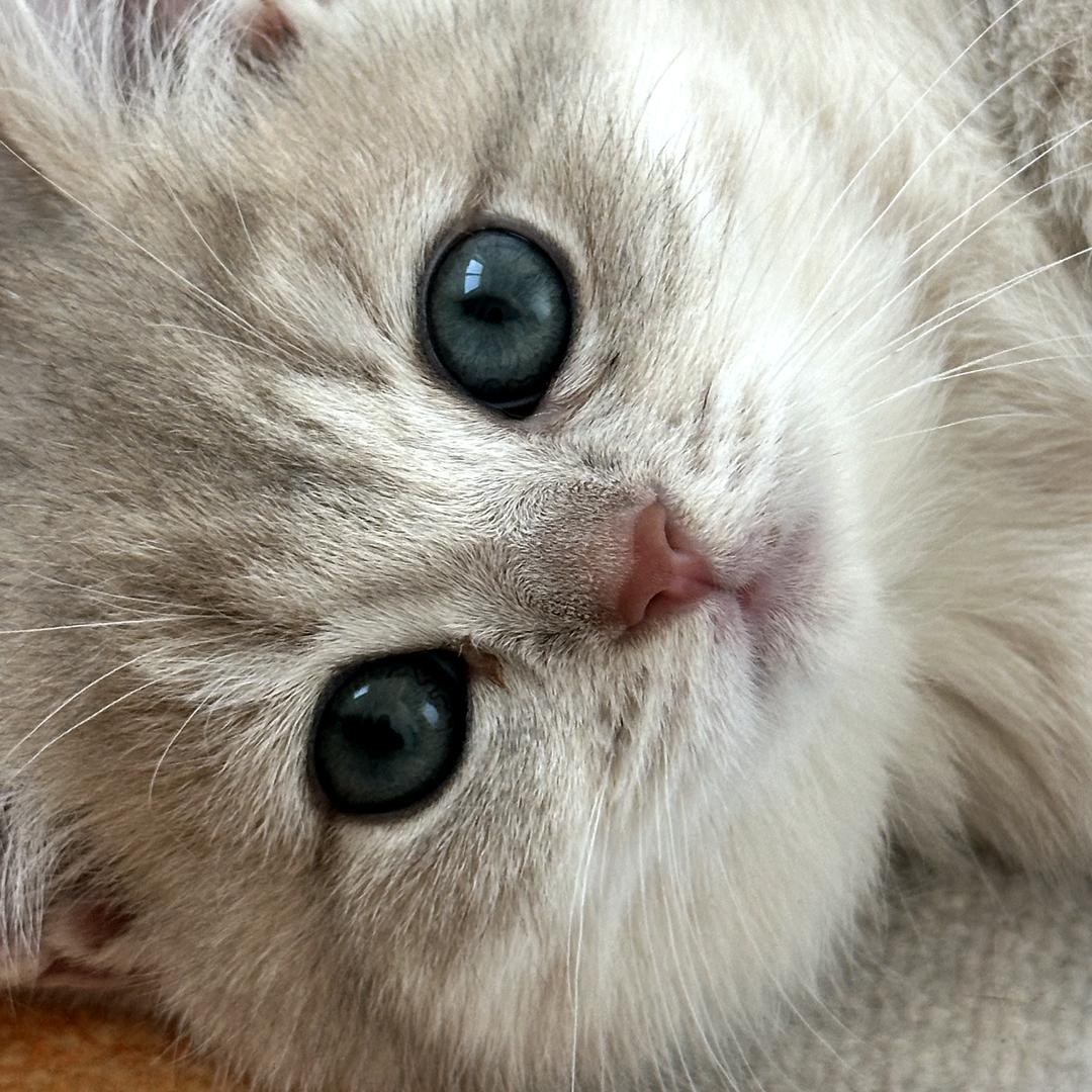 時光