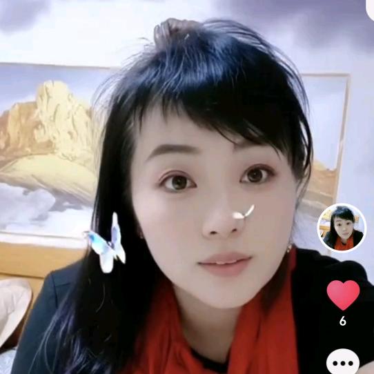飞翔英