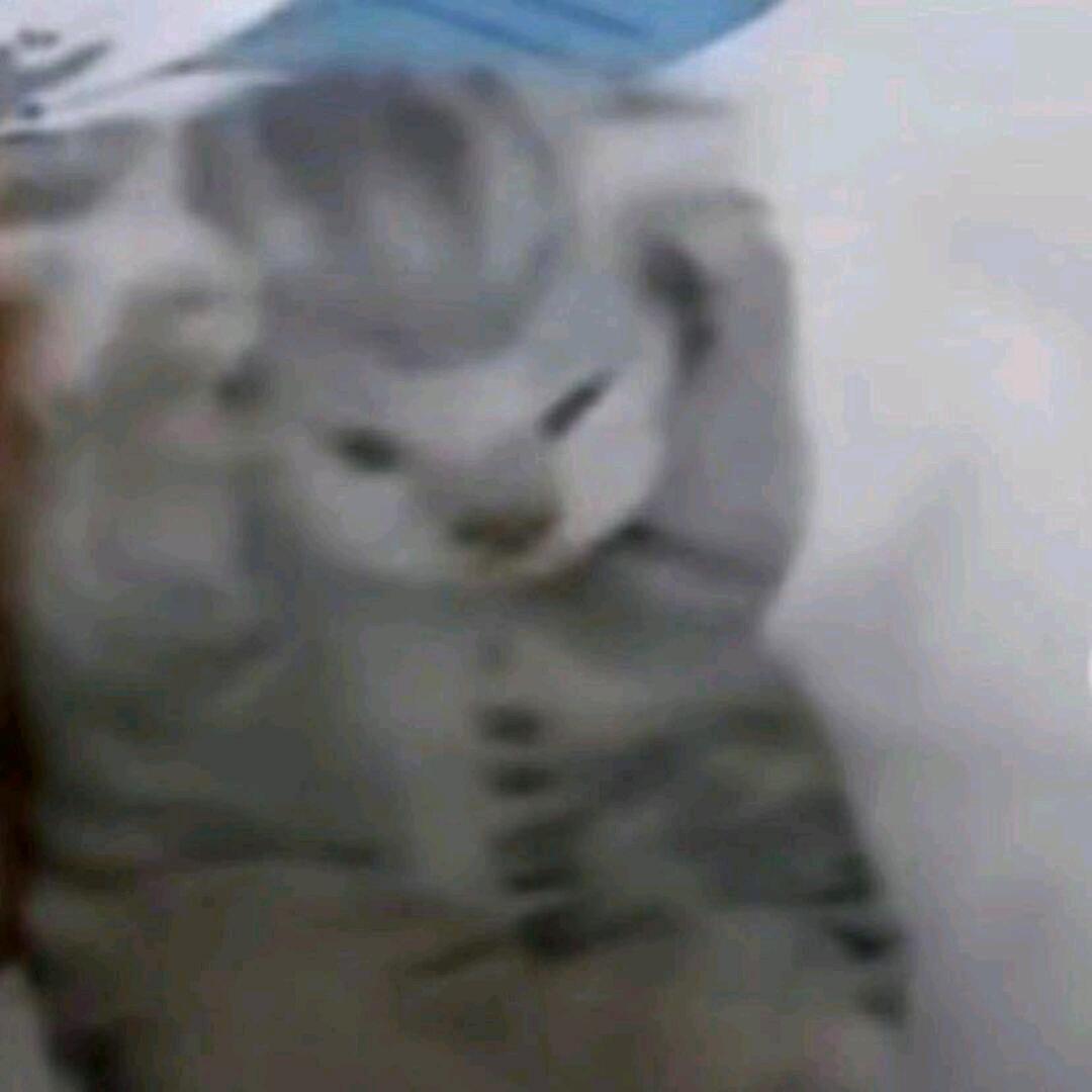WhiteMoonhan