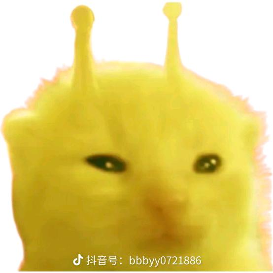 服