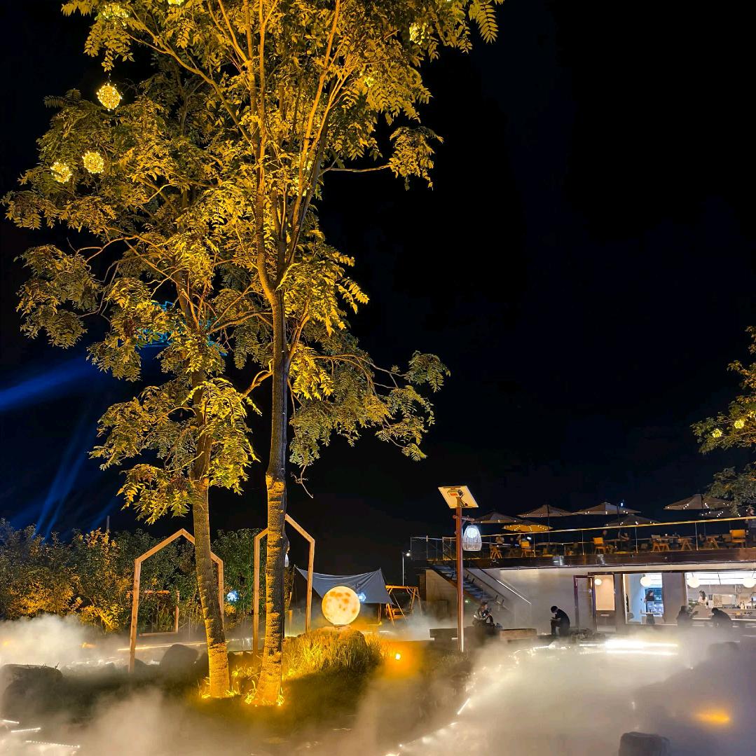 🌸平安喜樂🌸