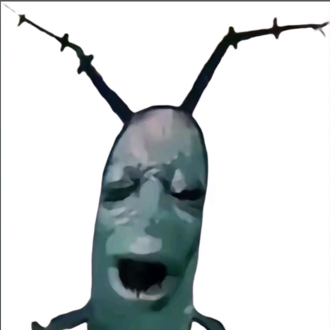 冰冰