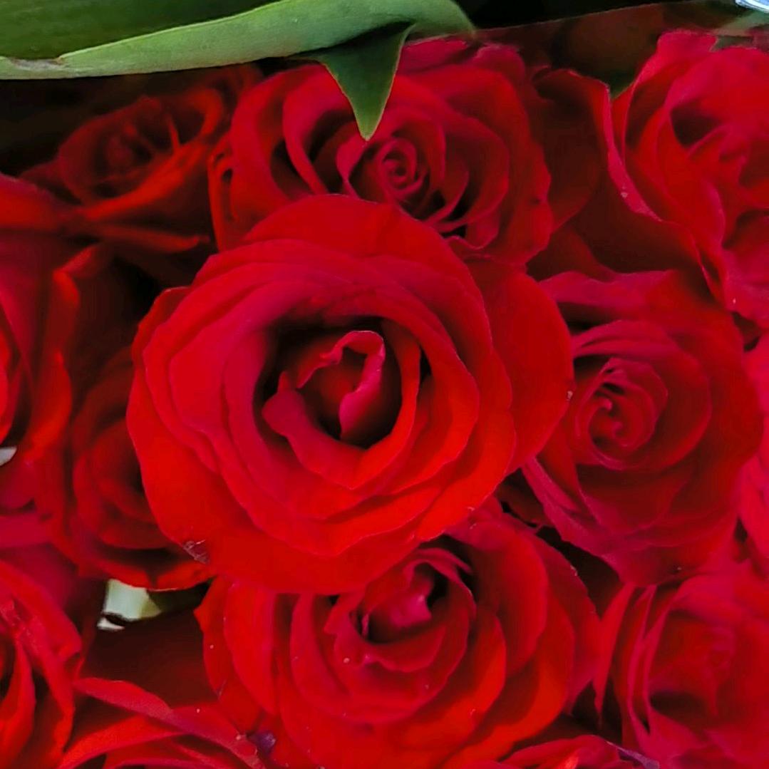 所有美好如期而至