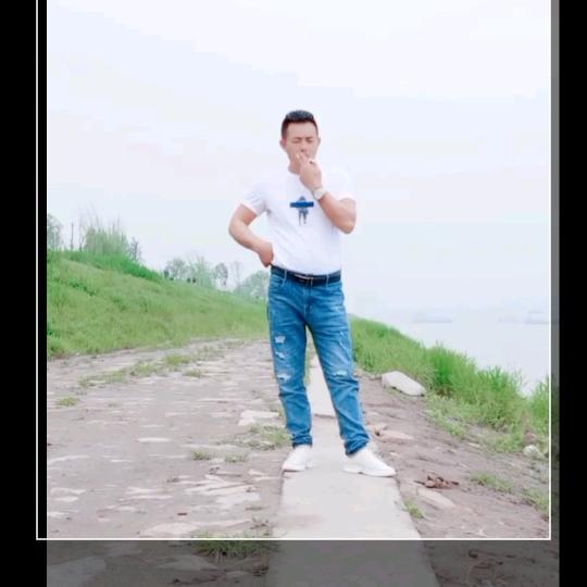 杨哥℡315
