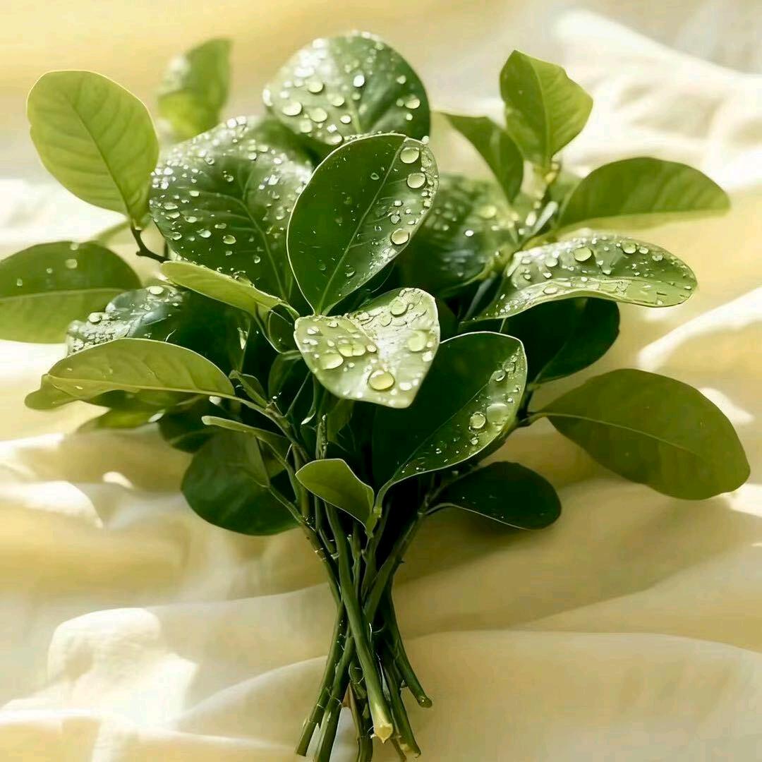 ꧔ꦿ财神常驻ꦼꦂ