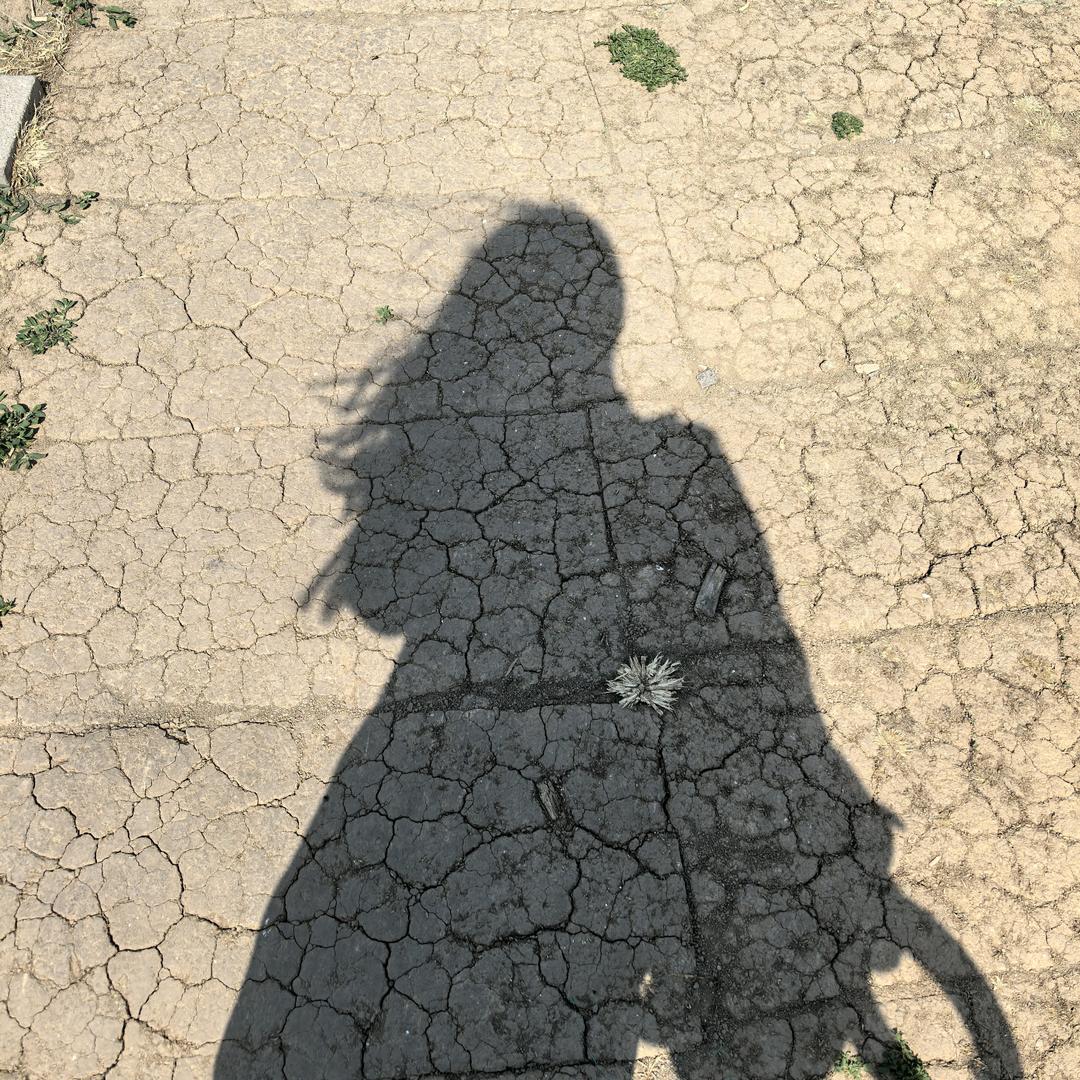 安小沫