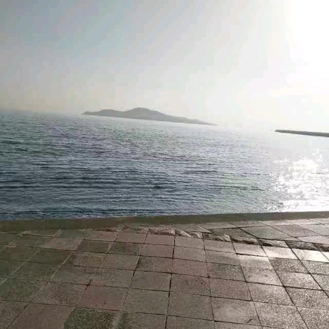 海阔天空🕶️