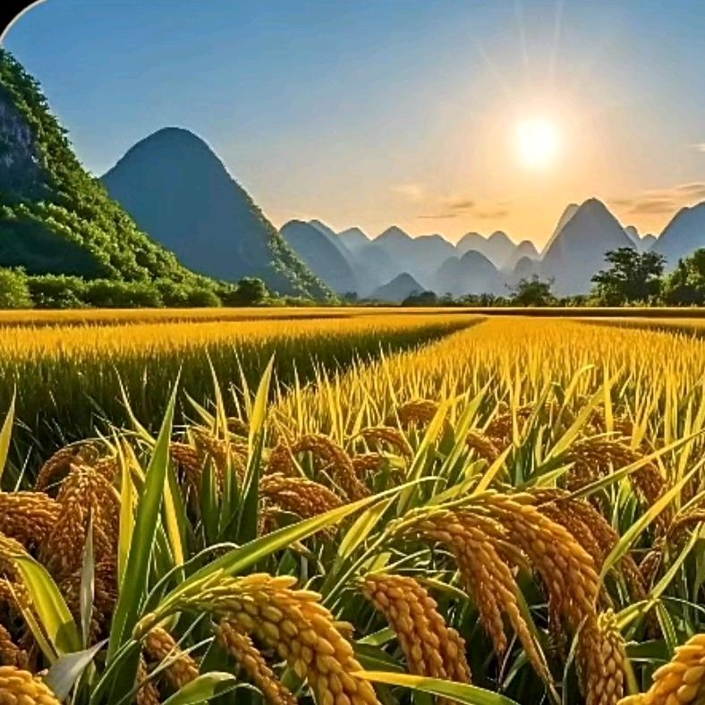 青山绿水（夏）