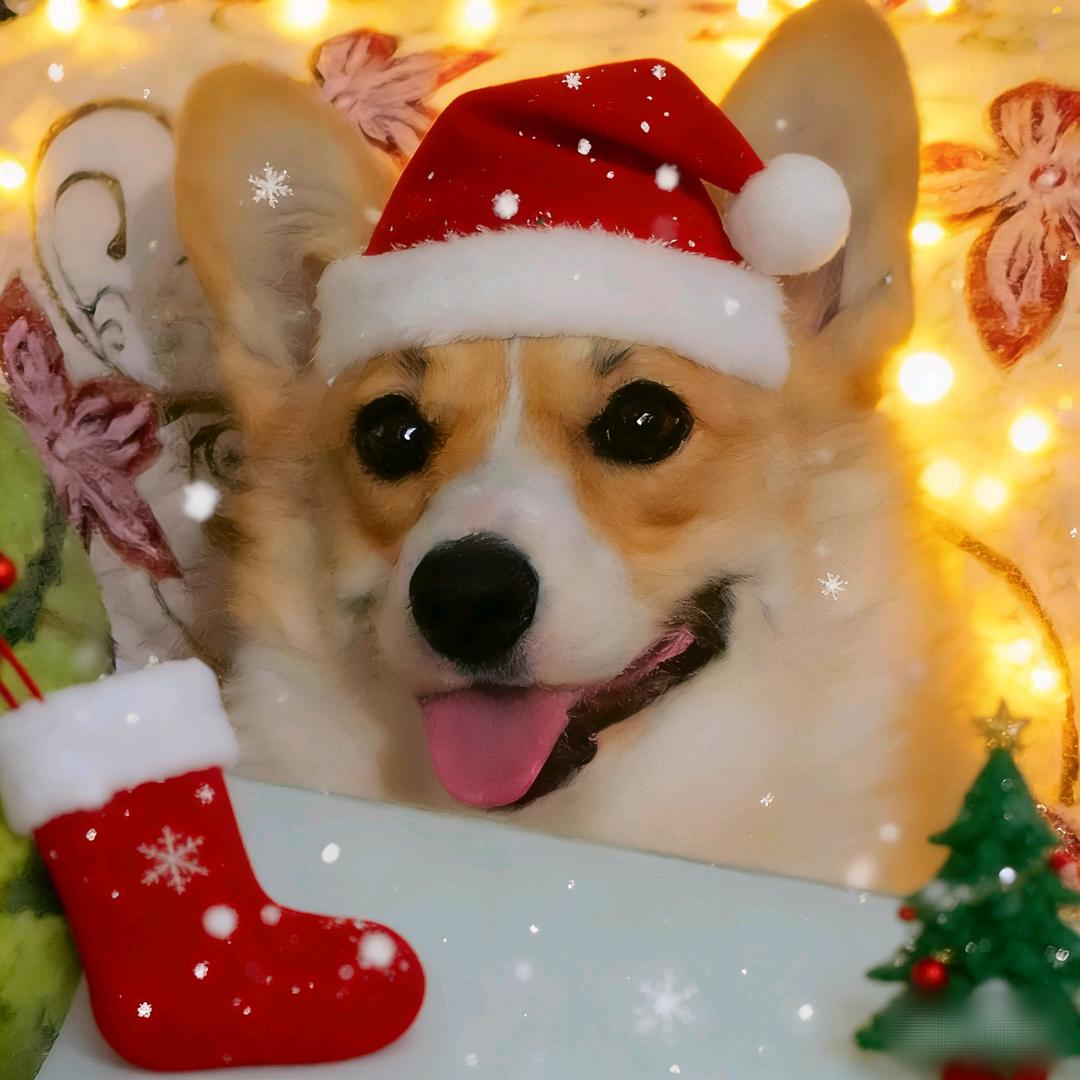 何时一起看日落