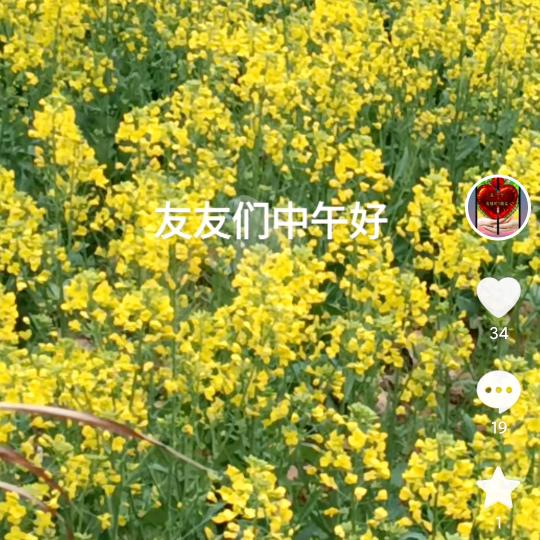 从此再不打扰。