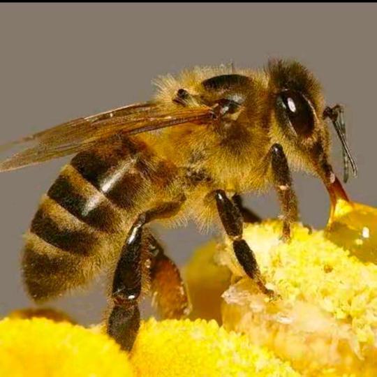 靠自己（加油记录生活）