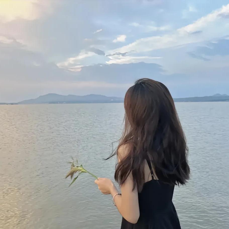 宫徐子