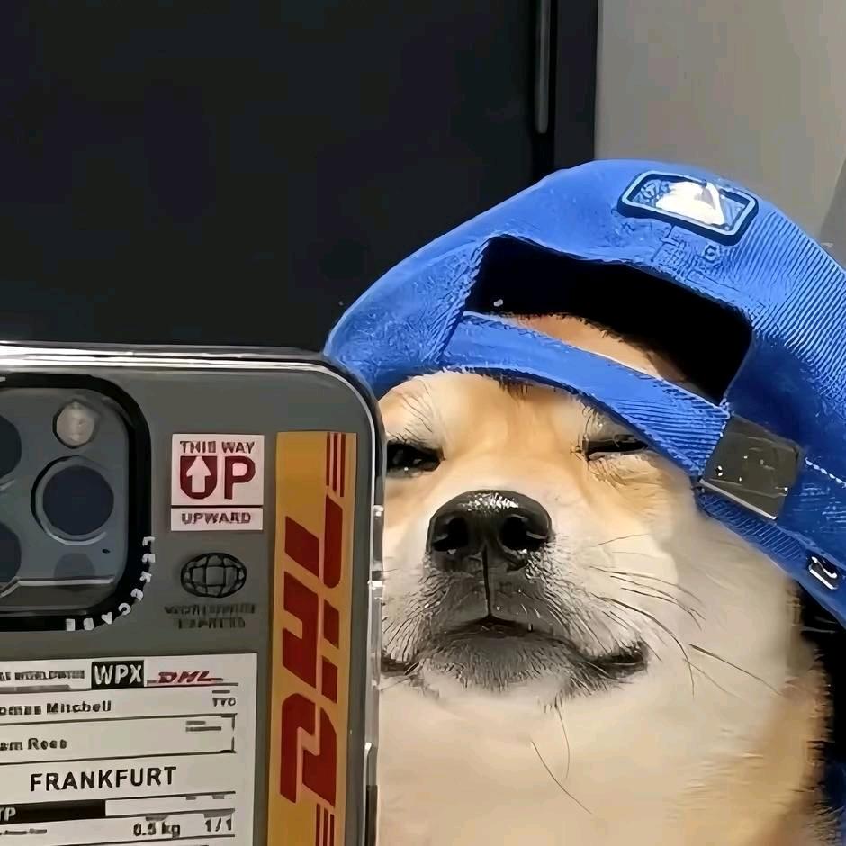 不爱吃胡萝卜的山羊🐐