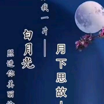 月下思故人