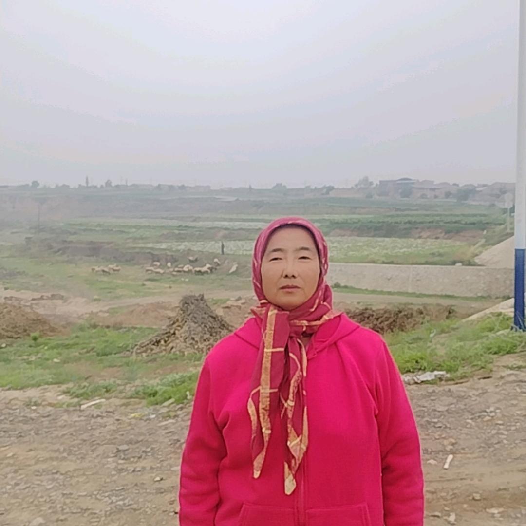 60后瓜农