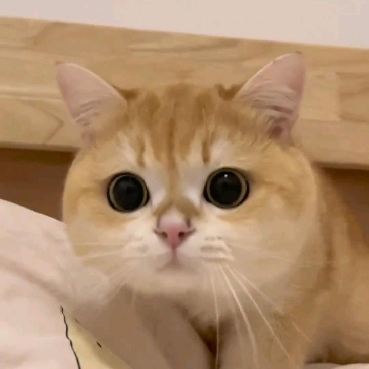 简单快乐。