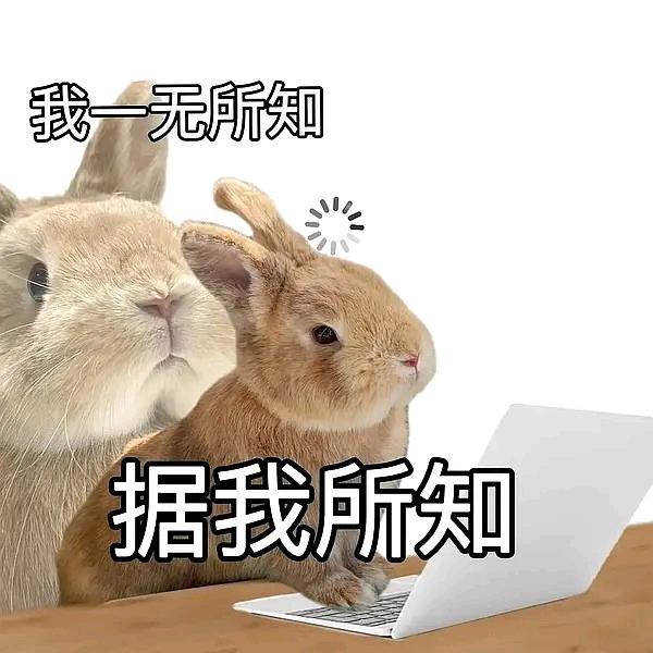央企在职女努力考研的日常