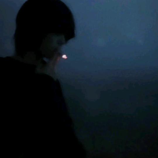 青鸟