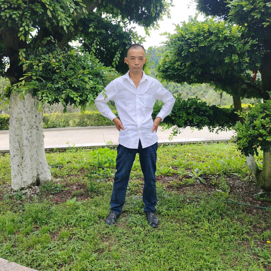 情哥哥