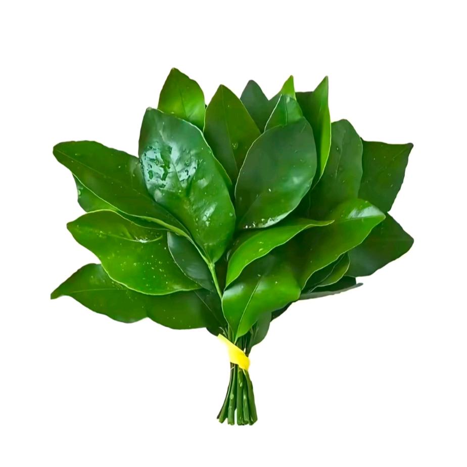 七·