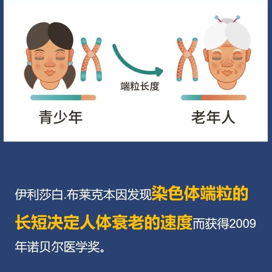 缘能（2）