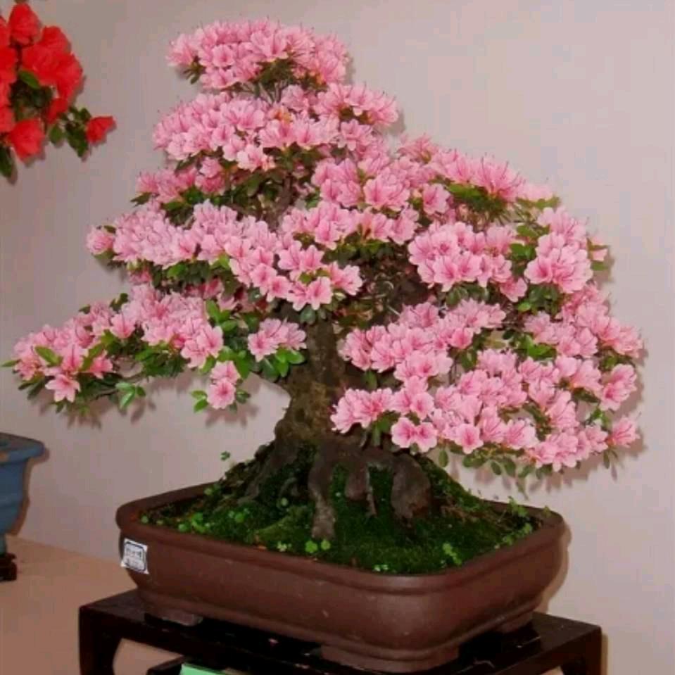 天天加班
