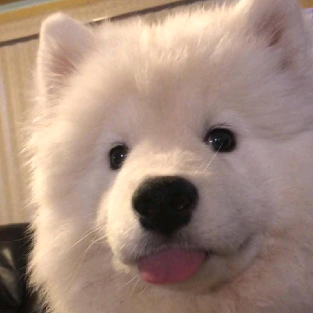 山海边晚枫